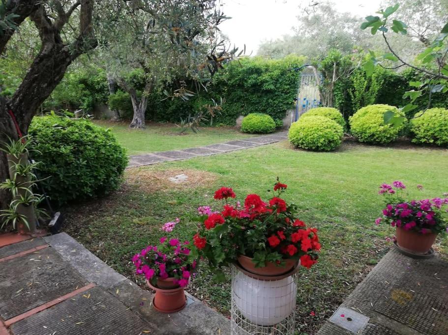 Villa Brezza Capaccio Luaran gambar